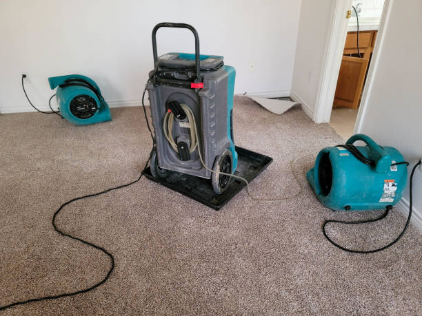 Best Residential water damage restoration  in Middlebranch, OH
